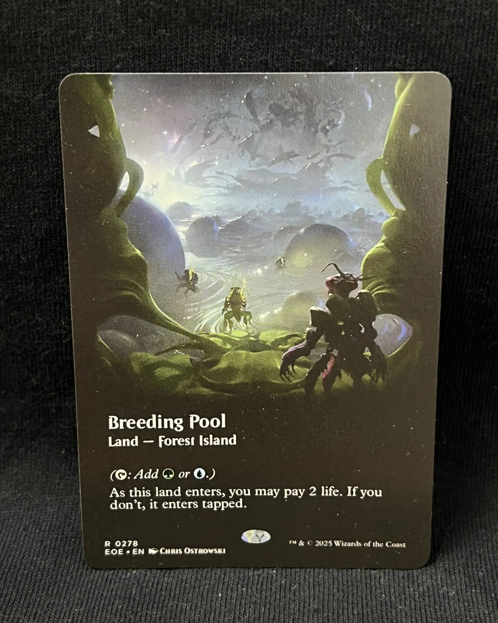 Borderless Pool Breeding Pool (Borderless) - MTG Proxy Edge of Eternities - Proxy King