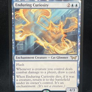 Enduring Curiosity - MTG Proxy Duskmourn: House of Horror