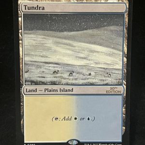 Tundra - MTG Proxy 30th Anniversary Edition