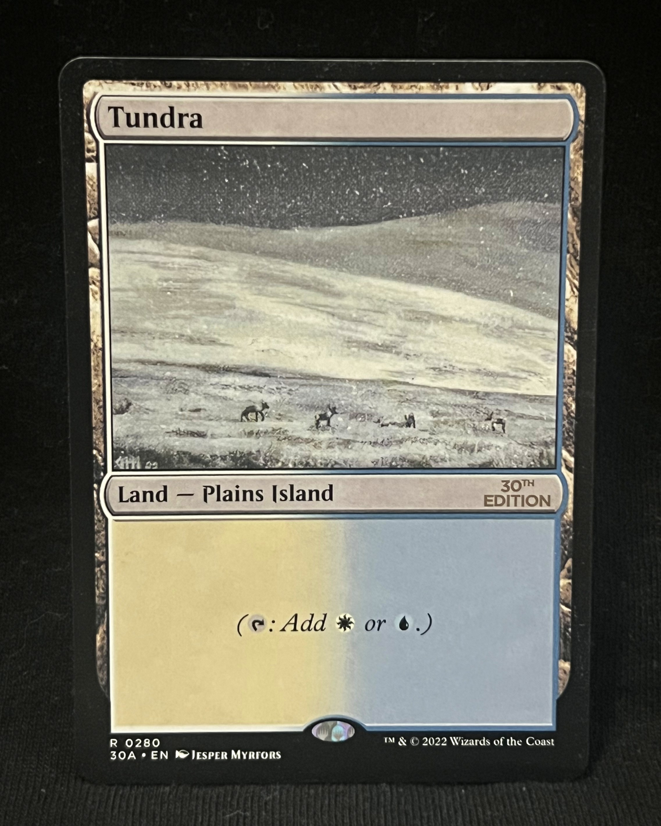Tundra - MTG Proxy 30th Anniversary Edition