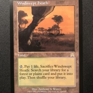 Windswept Heath - MTG Proxy Onslaught