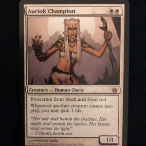 Auriok Champion - MTG Proxy Fifth Dawn