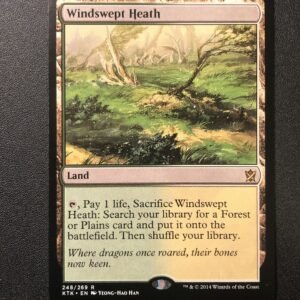 Windswept Heath - MTG Proxy Khans