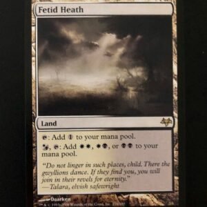 Fetid Heath - MTG Proxy Eventide