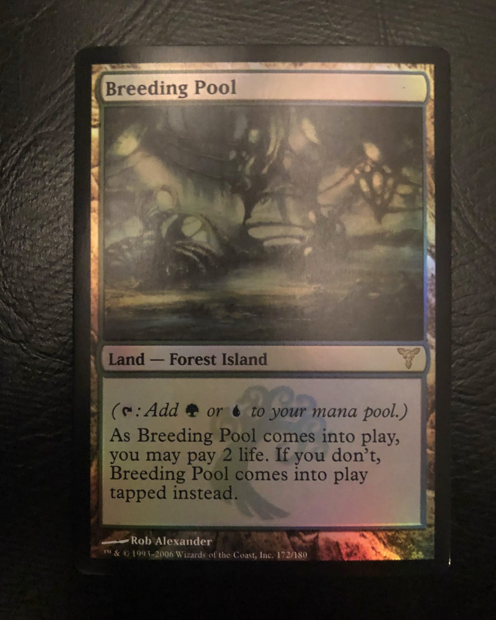 Breeding Pool (FOIL) - MtG Dissension